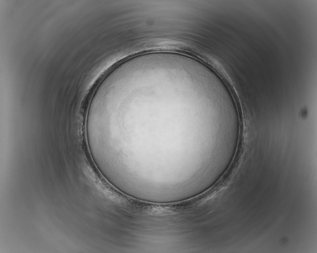 X0000116300835200912211900