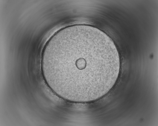 X0000116300836200912211900