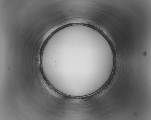 X0000116300837200912211900