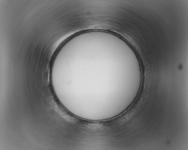 X0000116300838200912211900