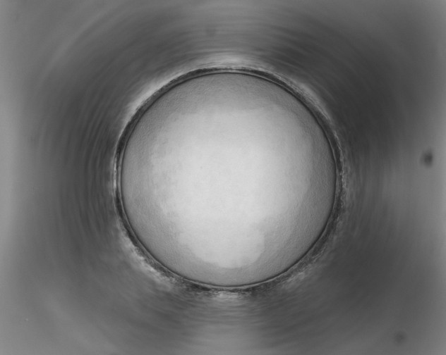 X0000116300839200912211900