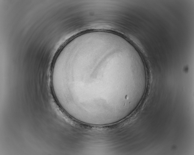 X0000116300840200912211900