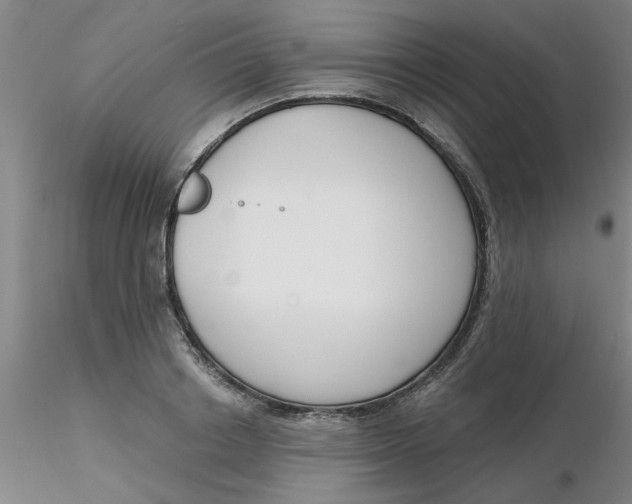 X0000116300842200912211900