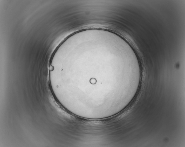 X0000116300844200912211900