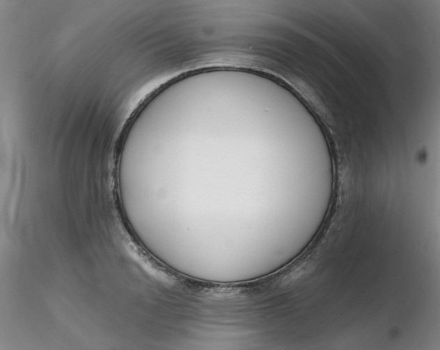 X0000116300846200912211900