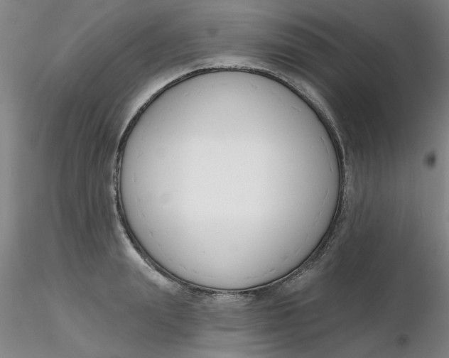 X0000116300847200912211900