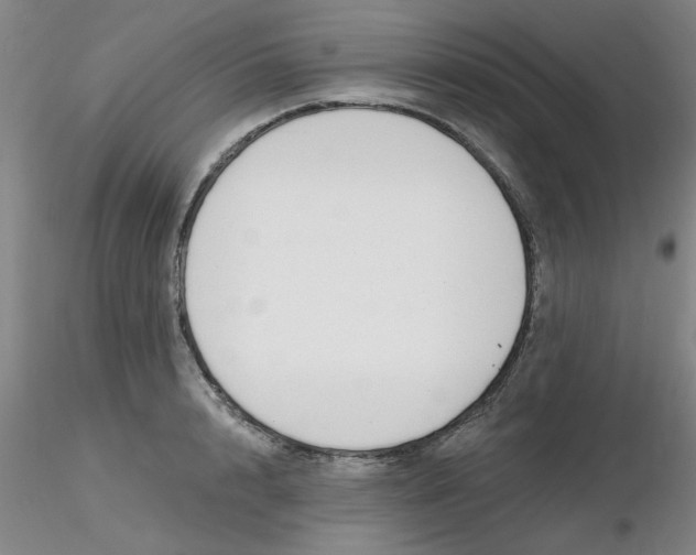 X0000116300848200912211900