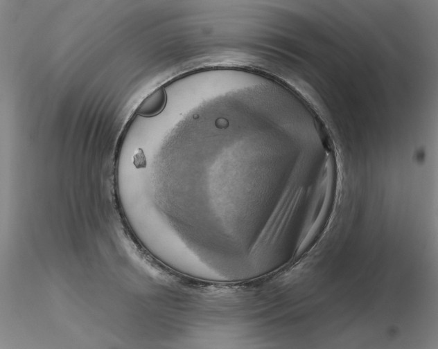 X0000116300850200912211900