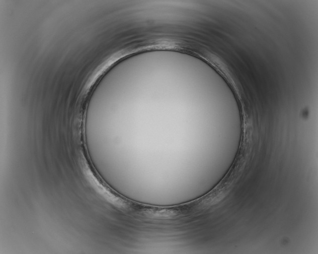 X0000116300851200912211900