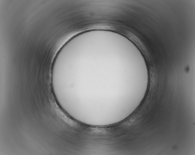 X0000116300852200912211900