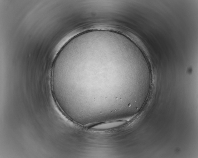 X0000116300855200912211900