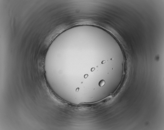 X0000116300857200912211900