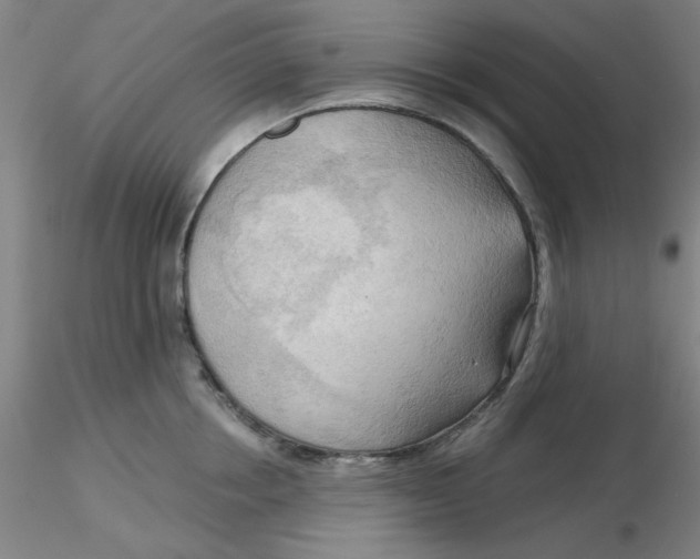 X0000116300858200912211900