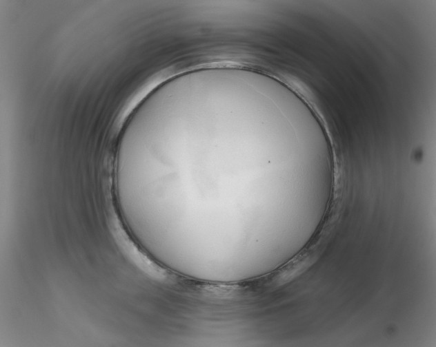 X0000116300859200912211900