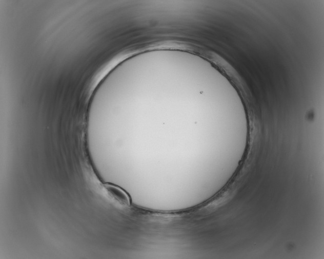 X0000116300860200912211900