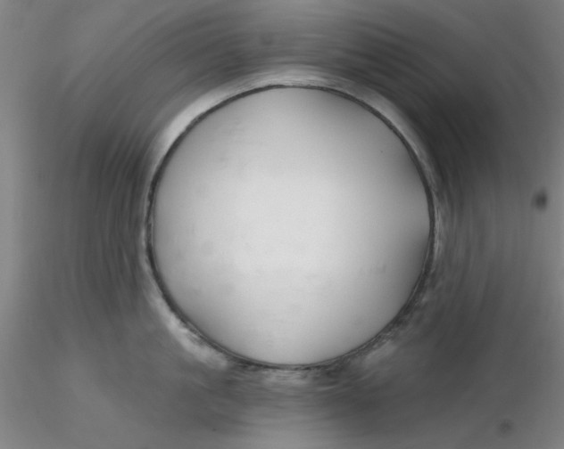 X0000116300861200912211900