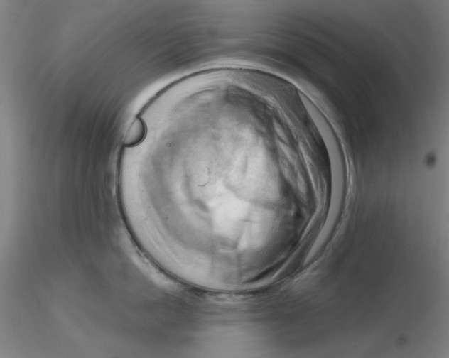 X0000116300862200912211900