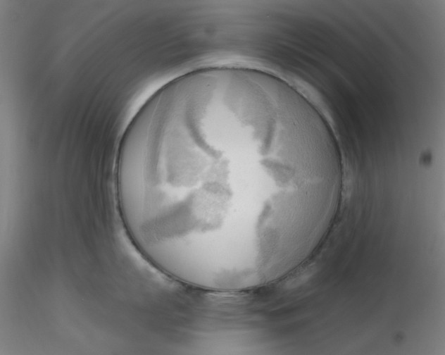 X0000116300863200912211900