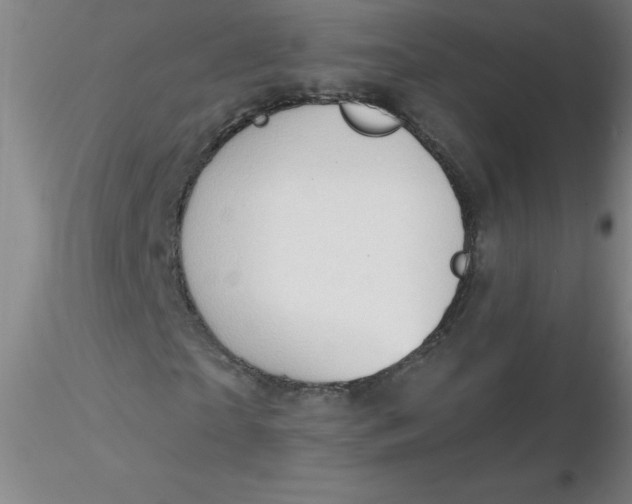 X0000116300865200912211859