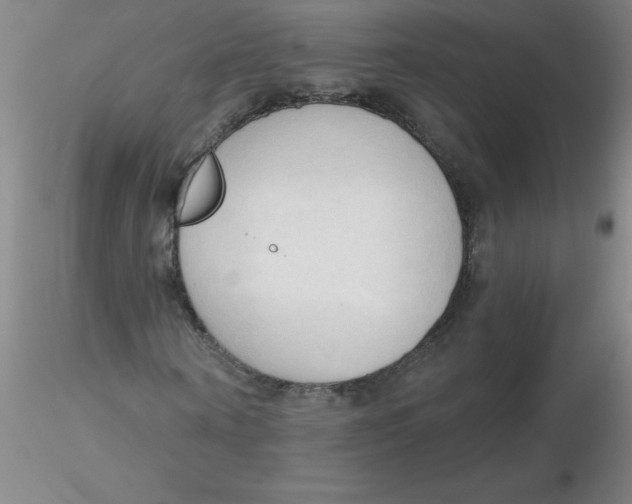 X0000116300866200912211859