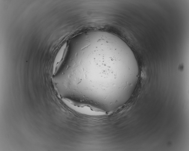 X0000116300867200912211859