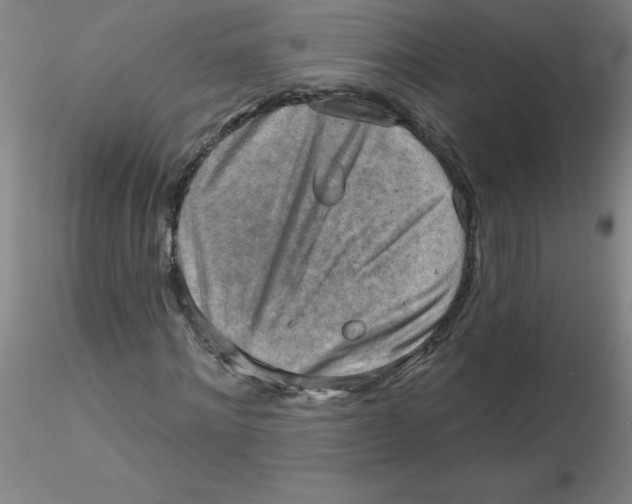 X0000116300868200912211859