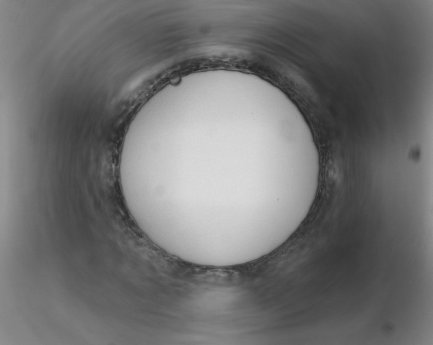 X0000116300869200912211859