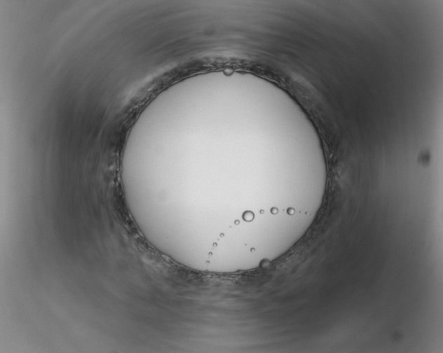 X0000116300870200912211859