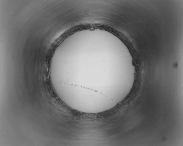 X0000116300871200912211859