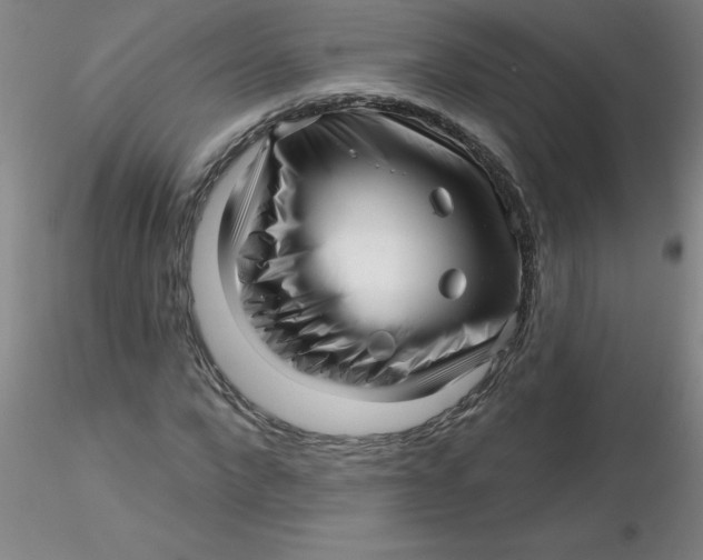 X0000116300872200912211859