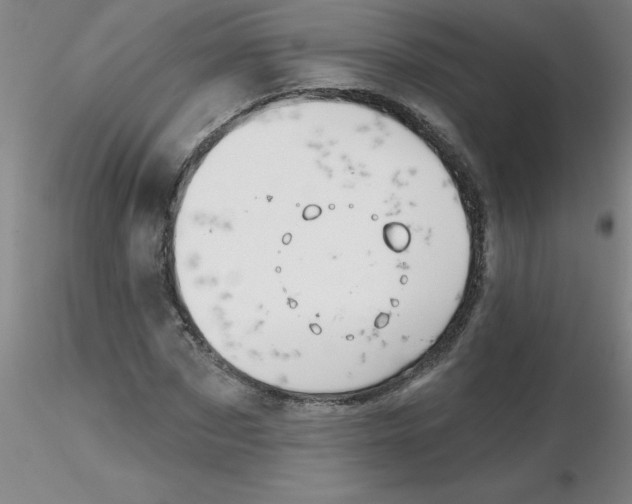 X0000116300873200912211859