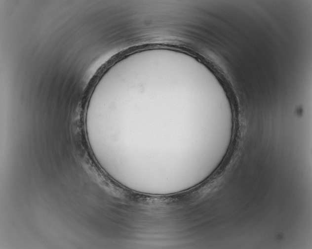 X0000116300875200912211859