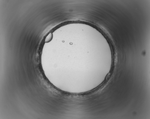 X0000116300876200912211859