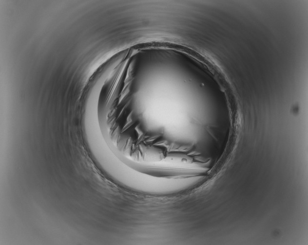 X0000116300877200912211859