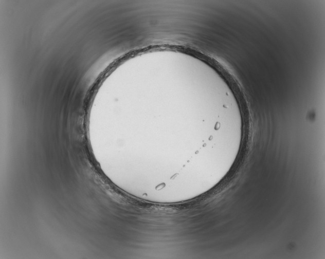 X0000116300878200912211859