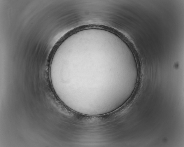 X0000116300879200912211859