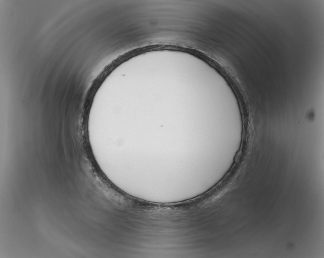 X0000116300880200912211859