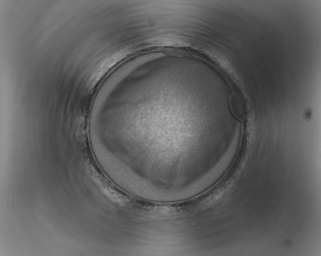 X0000116300881200912211859