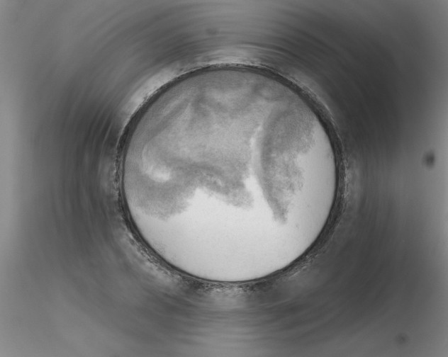 X0000116300882200912211859