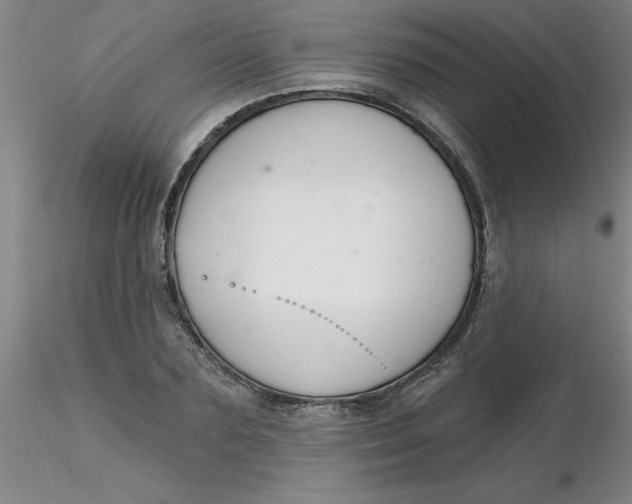 X0000116300883200912211859