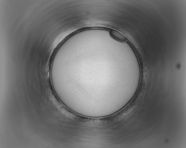 X0000116300885200912211859