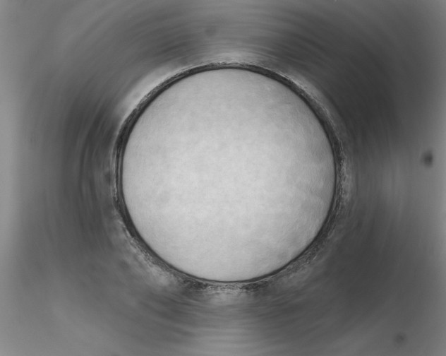 X0000116300886200912211859