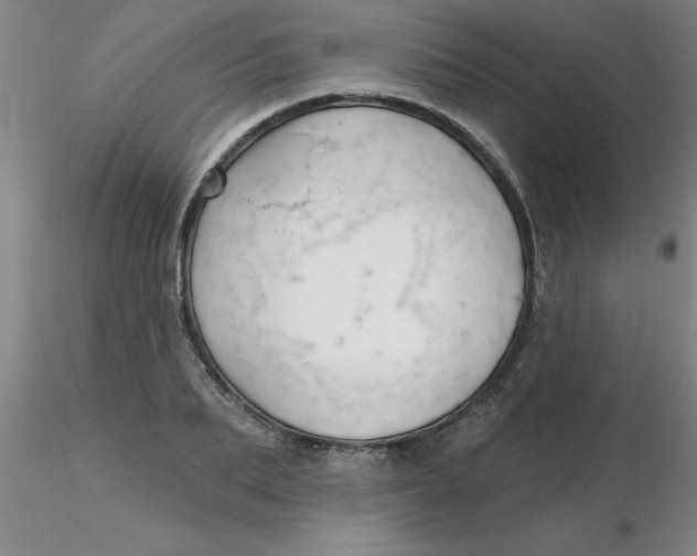 X0000116300887200912211859