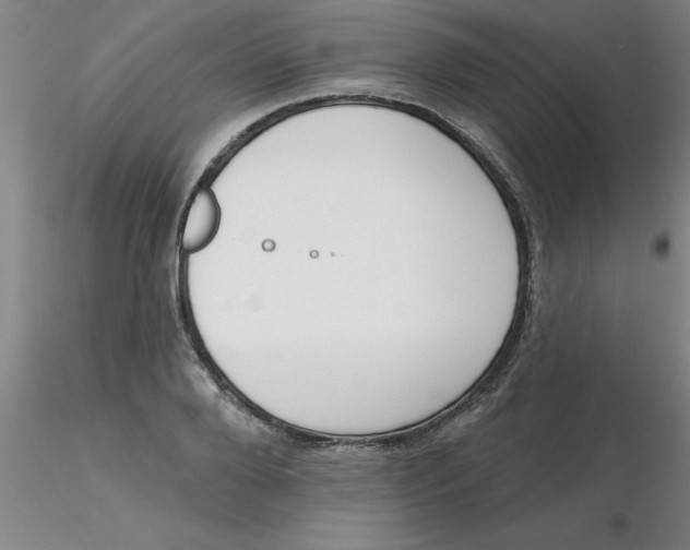 X0000116300888200912211859