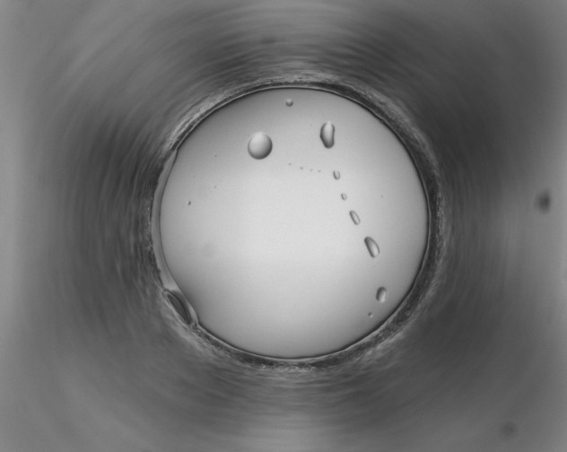 X0000116300889200912211859