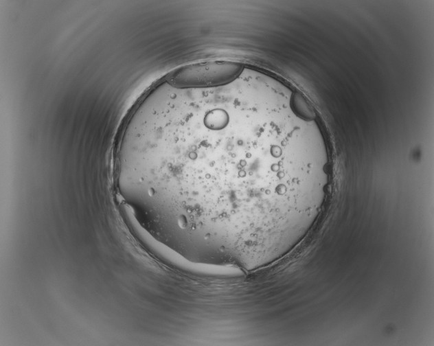 X0000116300891200912211859