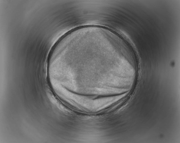 X0000116300892200912211859