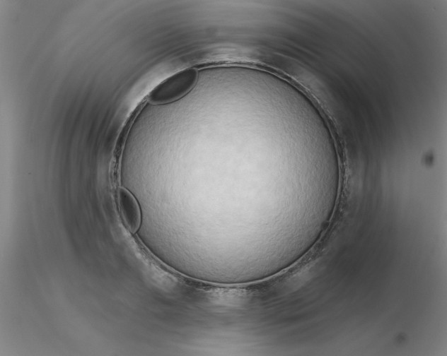 X0000116300893200912211859