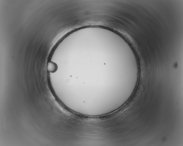 X0000116300894200912211859