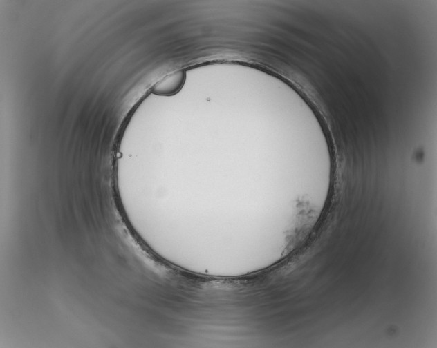 X0000116300898200912211859